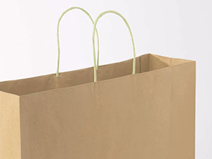 Shopping Bag